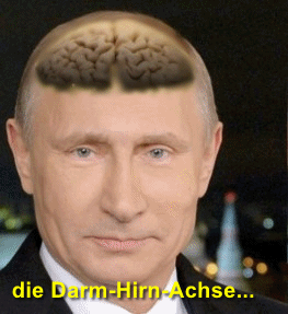 Putin Brain full of shit